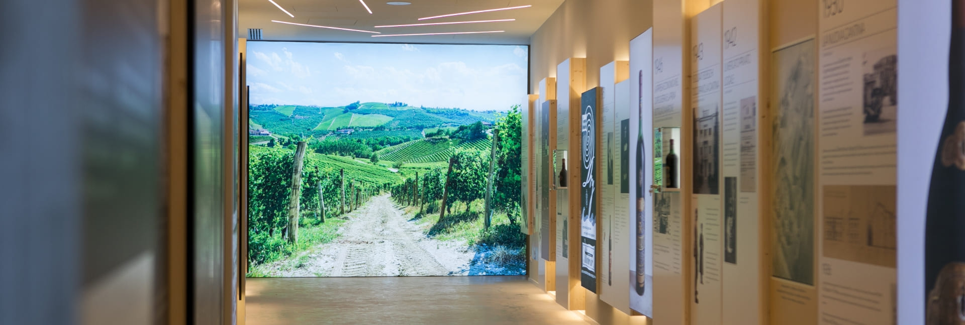 territorio della valpolicella sala museo montresor