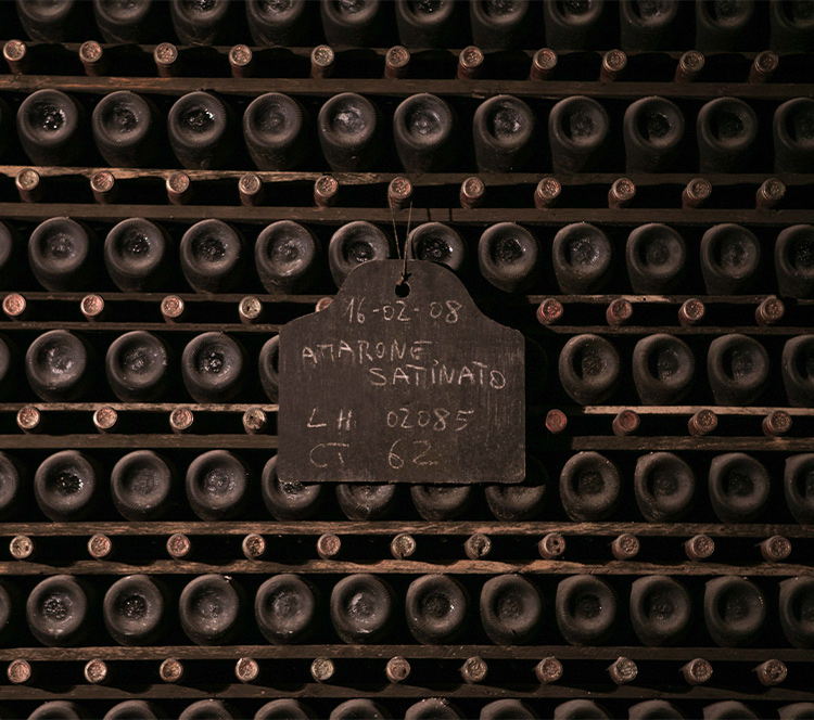 cantina museo montresor